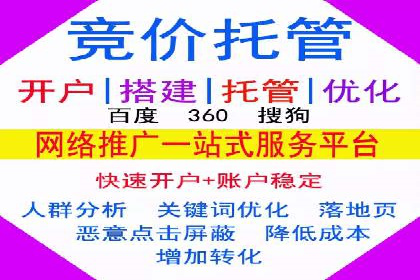 百度竞价广告投放成功案例解析